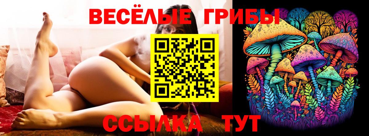 что такое наркотик  Вход с VPN  Избербаш  Псилоцибиновые грибы MAGIC MUSHROOMS 